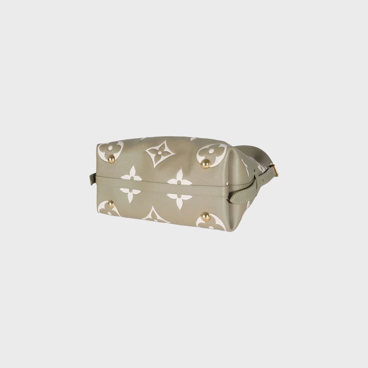Louis Vuitton Carry All